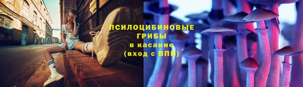 Альфа ПВП Баксан