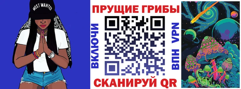 Галлюциногенные грибы Cubensis  Теберда 